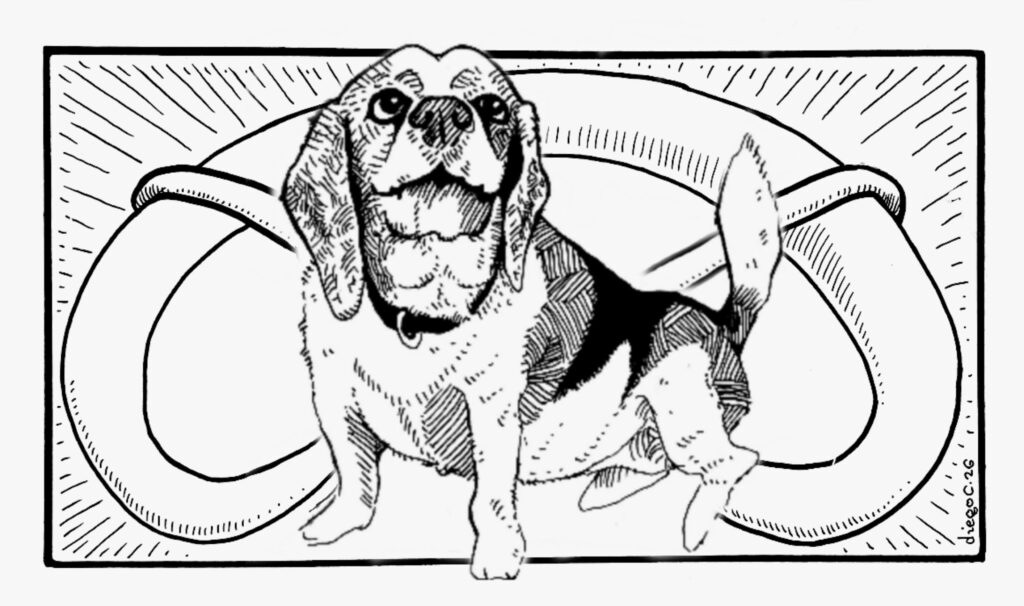 Era solo un perro