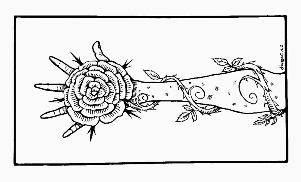 La rosa que nunca llegó