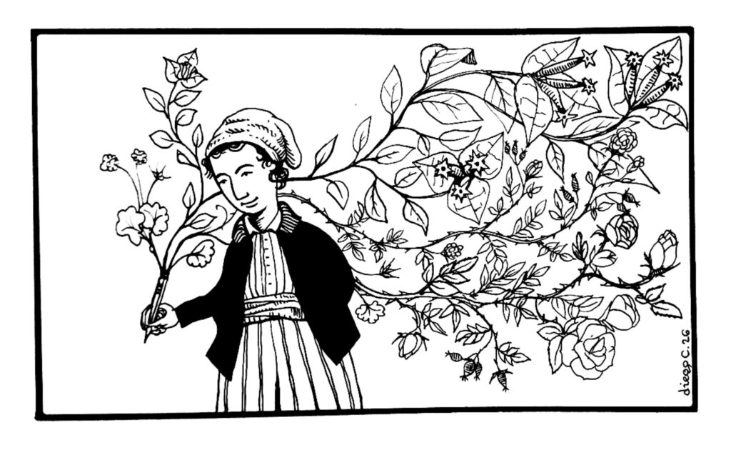 Cuántas historias caben en una planta